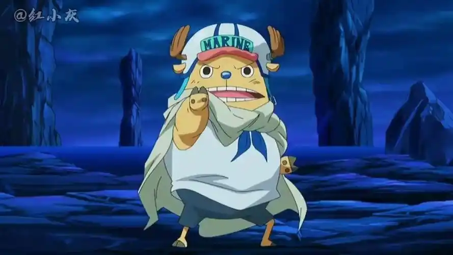 海贼王功夫乔巴帅呆了