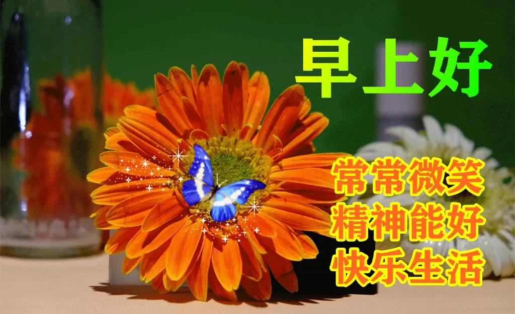 10月26日早上好动态表情图片大全,早晨好动图美图大全