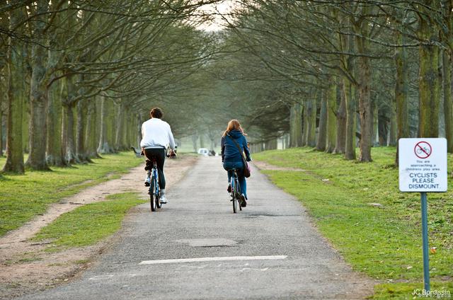 青春怀旧小诗:骑车远去的背影