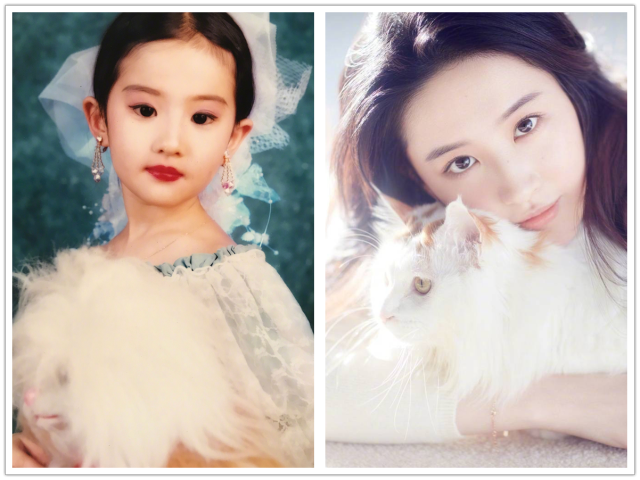 原创明星童年对比照:林允朴实,刘亦菲美到大,最美的是她!