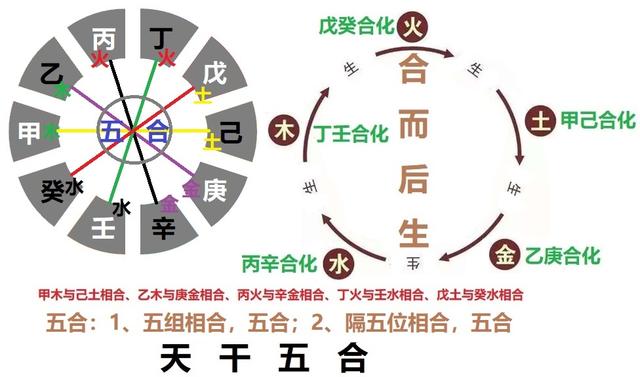 天干五合(五合:1,五组相合,五合;2,隔五位相合,五合):甲己合,乙庚合
