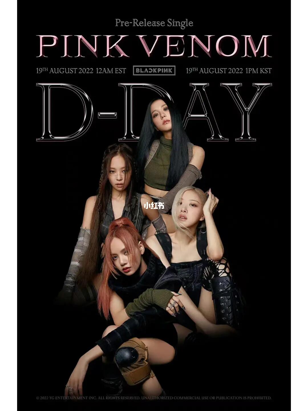 blackpink 今天发布了回归专辑先行曲《pink venom》的 mv,四人合体