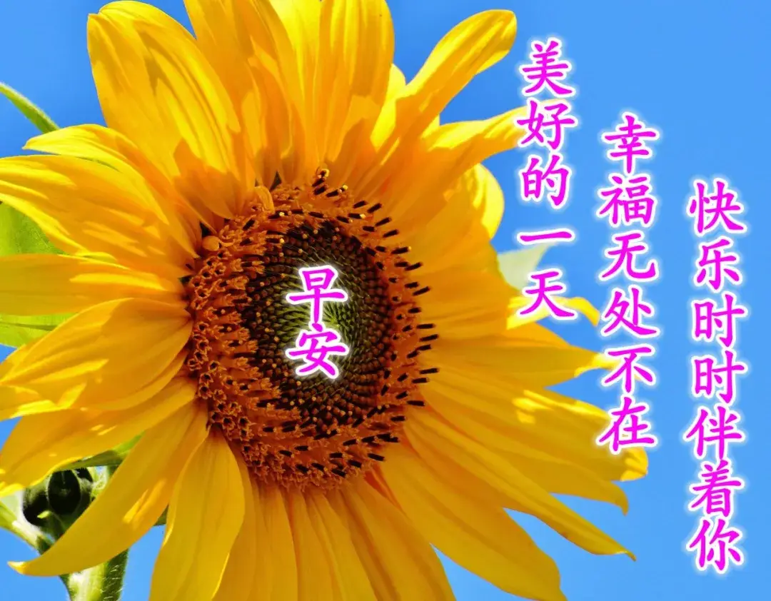 今天最好的早上好图片带问候语2020微信早安图片祝福语