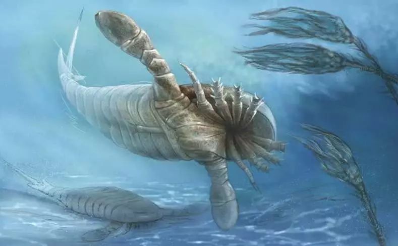 地球上最bug的6大史前动物,靠牙齿称霸世界!_猎物