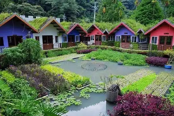 生态农场生存经营之道