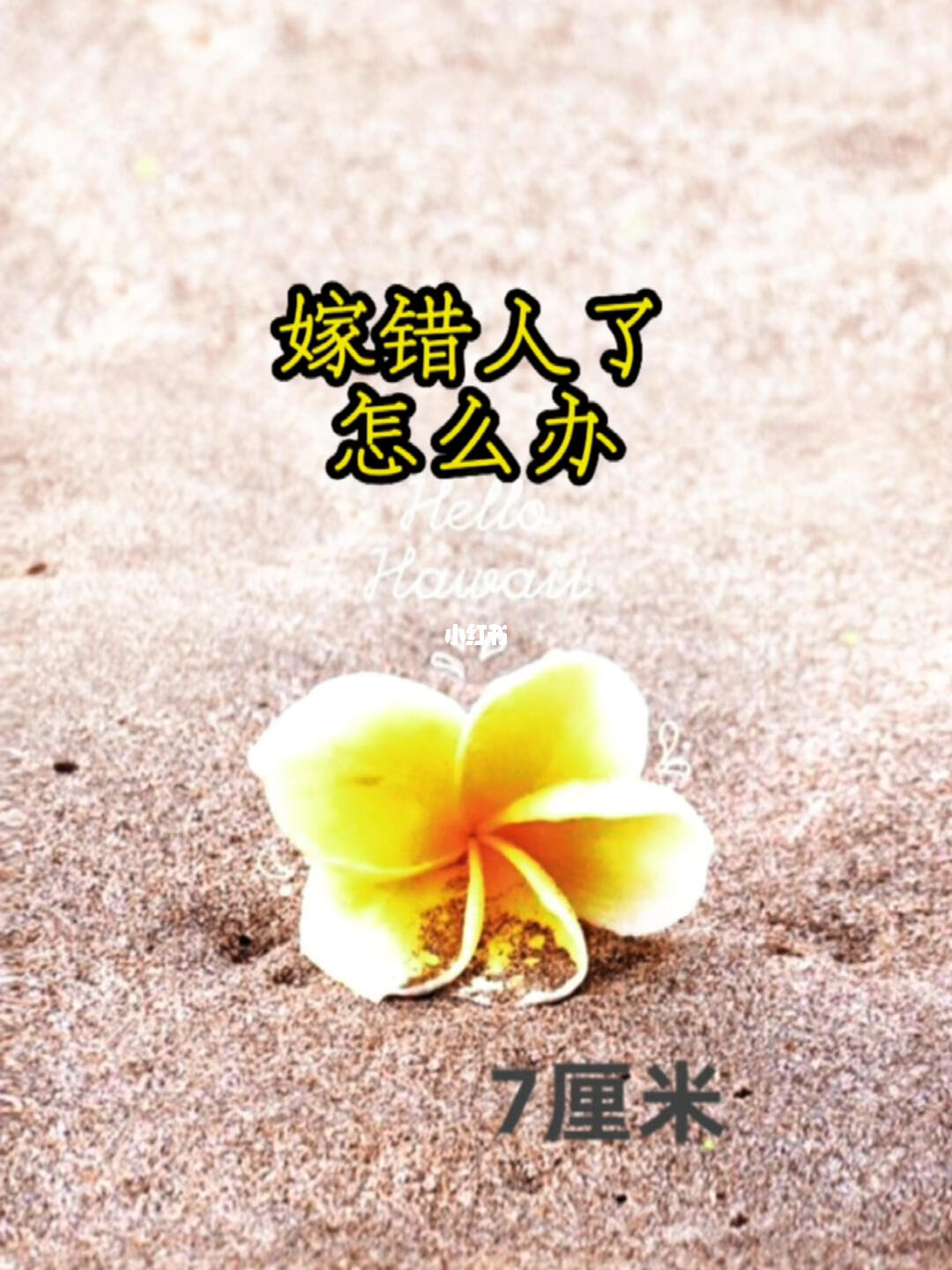 嫁错人了怎么办