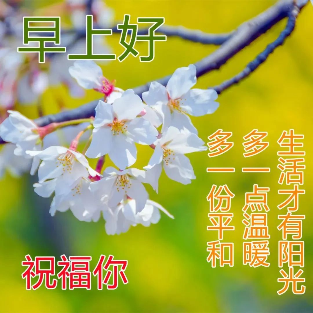 原创8张最新最全早上好问候语温馨动态图片大全春天早上好问候祝福语