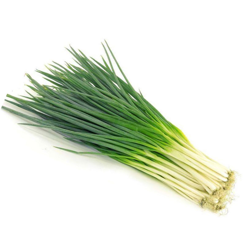 葱种四季 小香葱