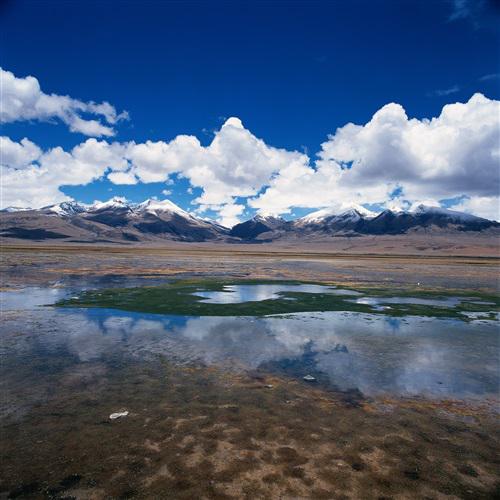 最美的风景微信头像图片