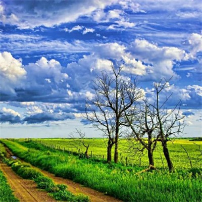 适合做头像的风景图片优美超唯美治愈的最新风景高清头像大全