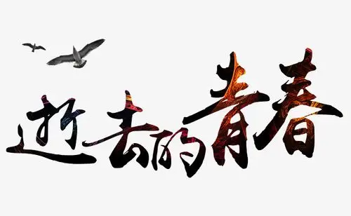 致我们逝去的青春免抠艺术字png