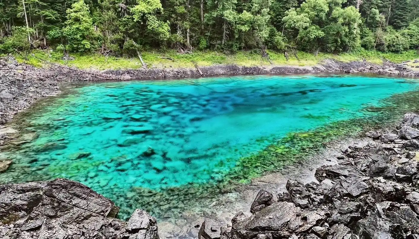 若尔盖花湖&九寨沟.甘南大环线 第10,11站 99若尔盖花 - 抖音