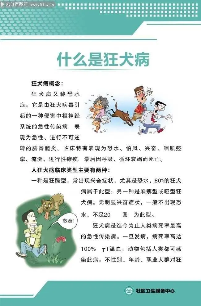 娃被自家宠物狗咬了