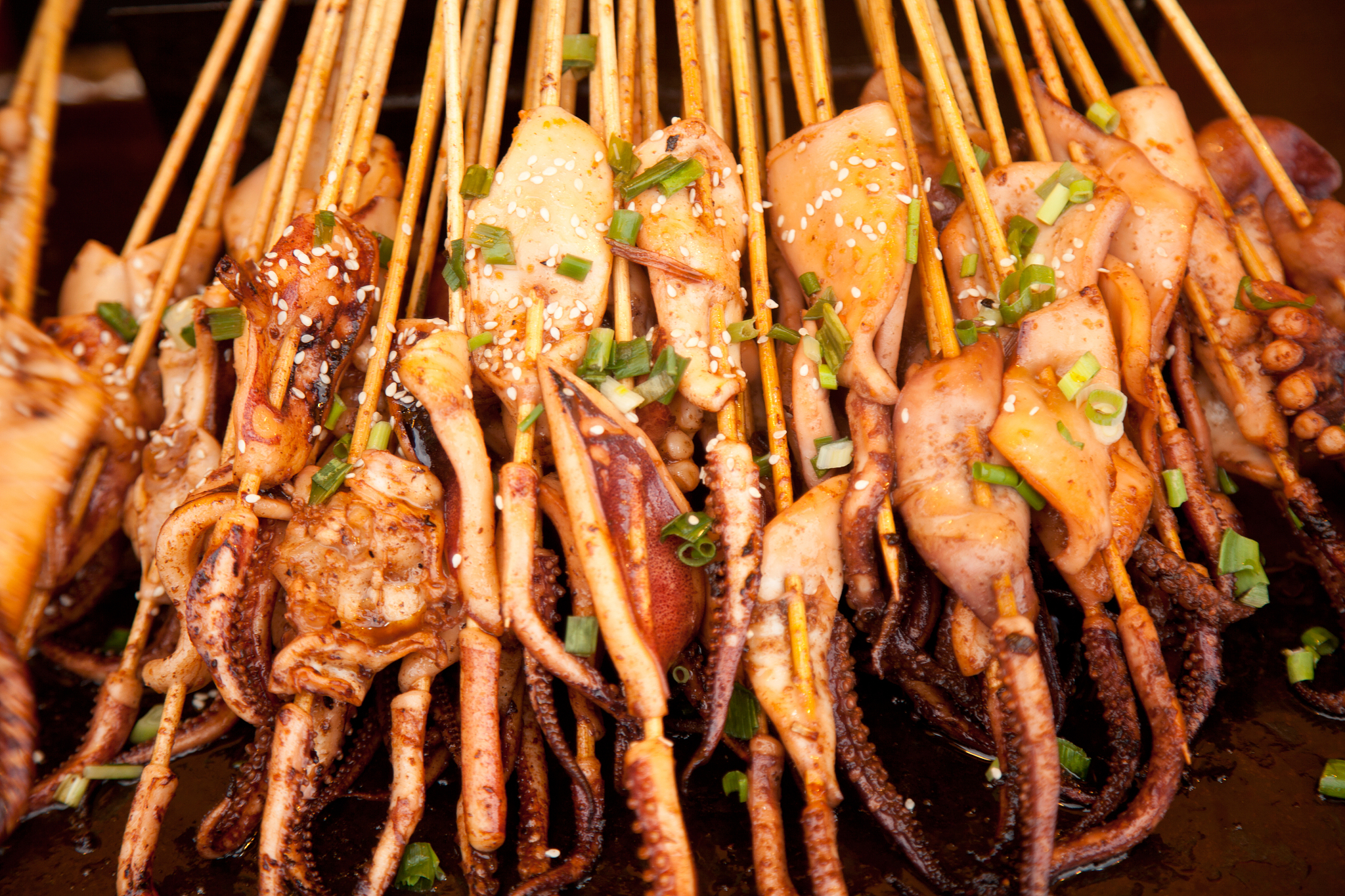 想要品味鲜鱿鱼的极致美味吗?