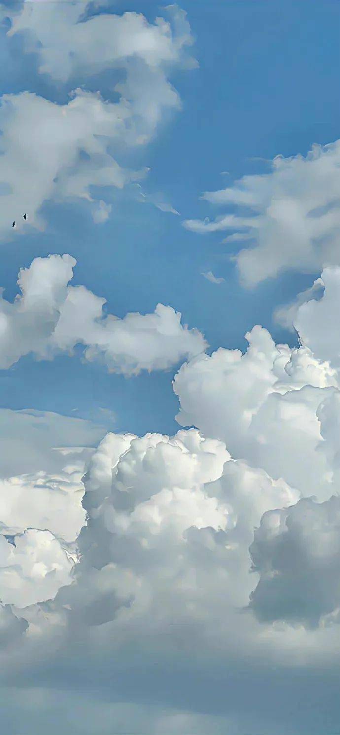 wallpaper壁纸 | ins风小众高级质感壁纸