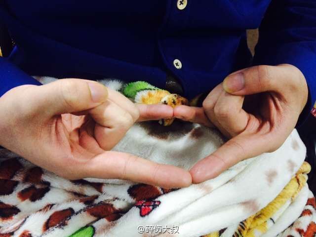 道家八大神咒之金光神咒修法