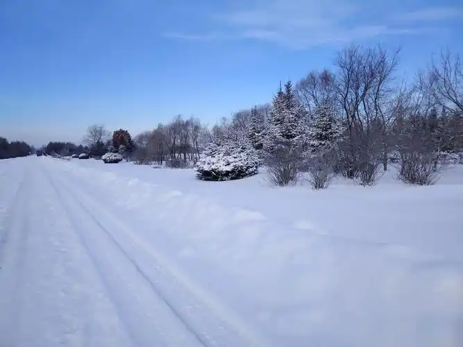 家乡真美白雪皑皑#大东北的雪 #你的城市下雪了吗 - 抖音