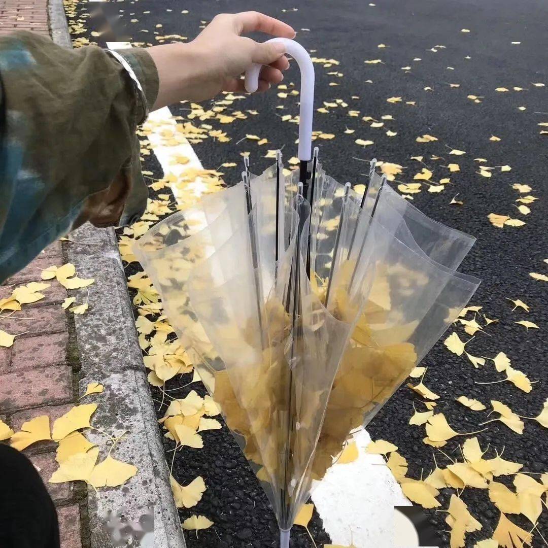 你要的微信朋友圈封面来了个性又好看