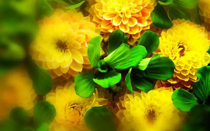 qq空间唯美风景背景图,高清壁纸,风景图片-回车桌面