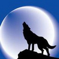 炫酷狼头像图片大全集【点击鼠标右键下载】