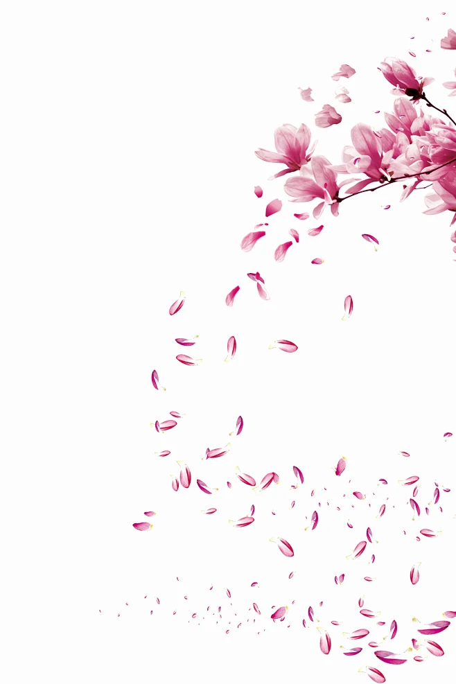 中国复古风仙侠风工笔画桃花花卉png素材免抠ps后期设计素材三生三世