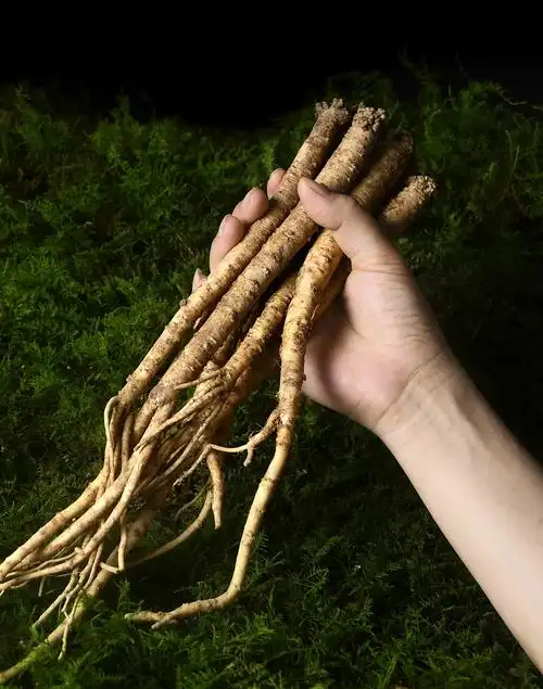 新鲜党参拍摄和详情页设计