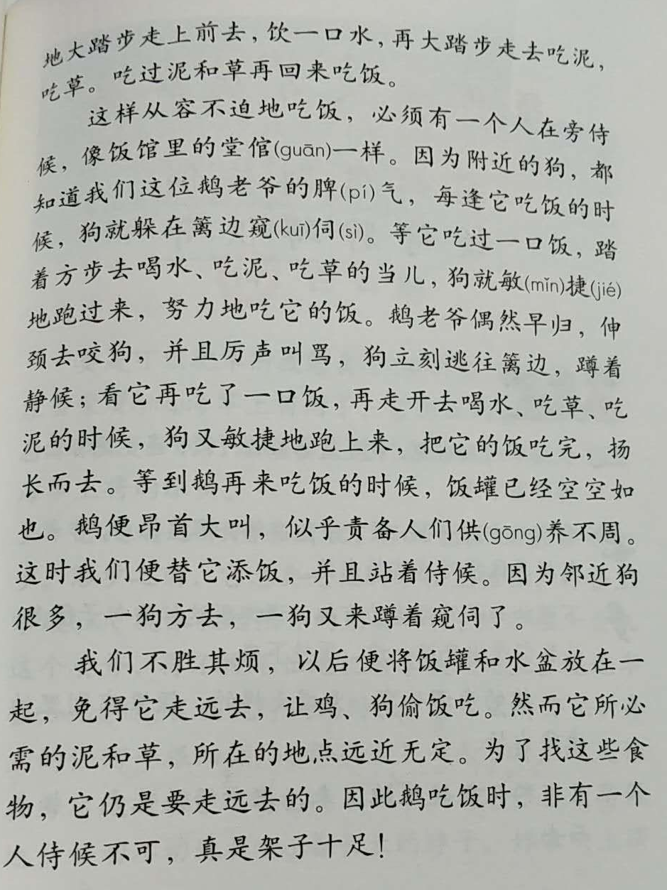 试听180秒15【课文赏析】《白鹅》:谈谈结构和详略(丰子恺)