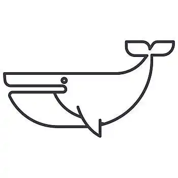 抹香鲸,矢量,线条,象征,标识,插画,背景,白色背景