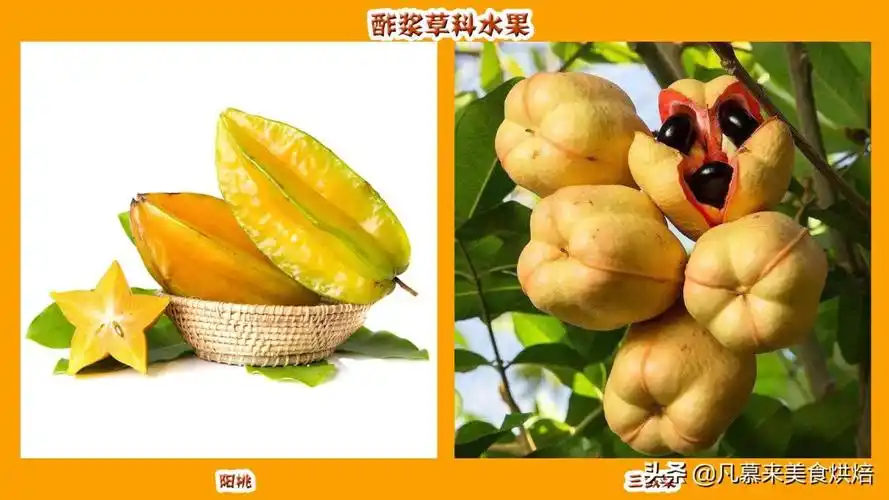 食用水果对人体健康有一定的益处,下面是水果大全名字名称水果大全