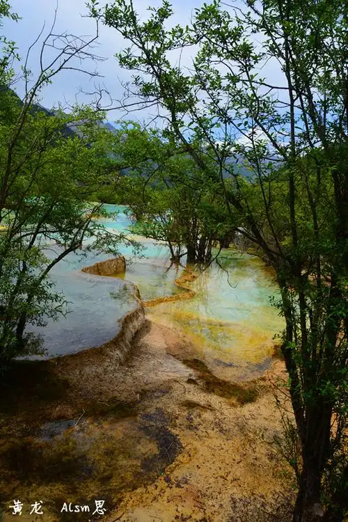 稻城亚丁 花非花雾非雾图片600,四川省旅游景点,风景名胜 - 蚂蜂窝
