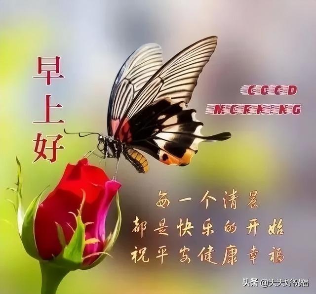 夏天清晨创意唯美早上好祝福语图片大全清晨早安问候语图片文字