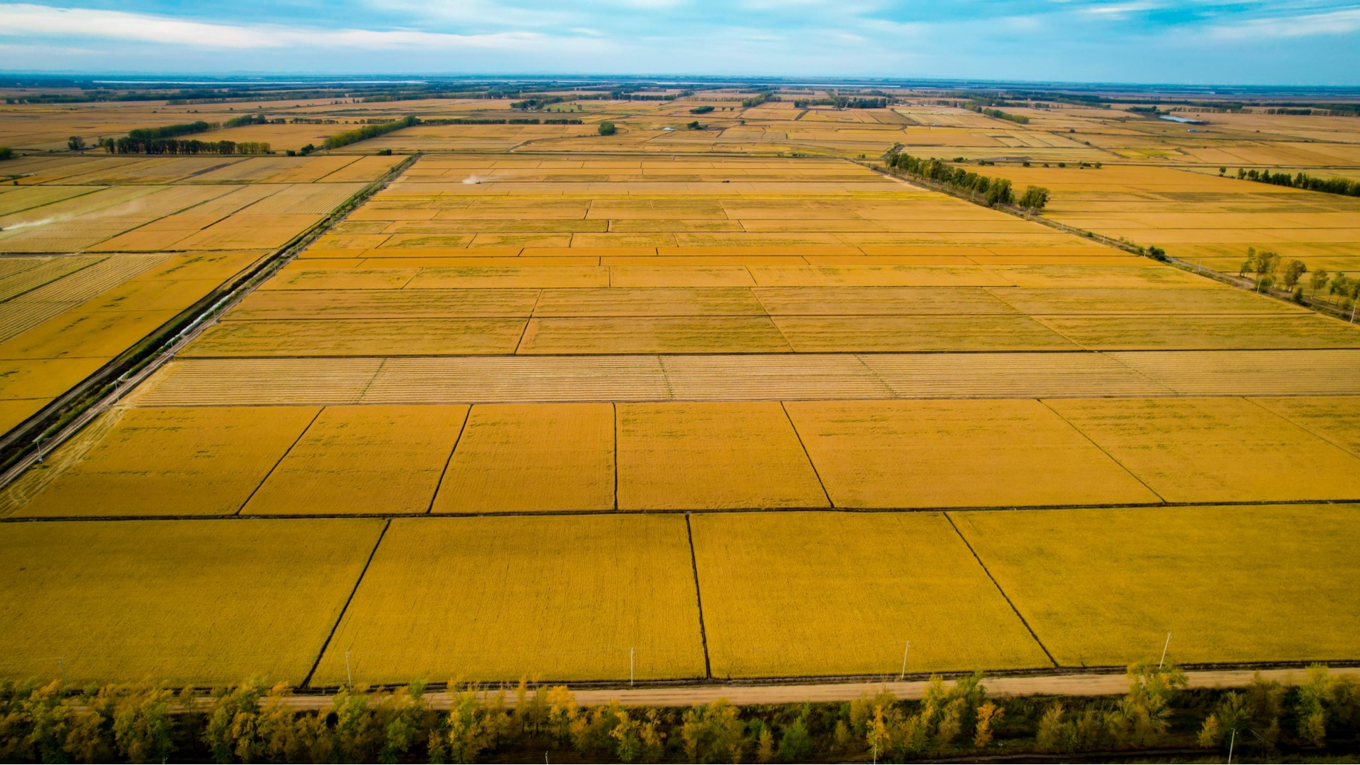 粮仓好丰景丨金秋十月赴一场丰收之约
