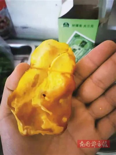 鸡宝是什么样子的图片 鸡宝有臭味吗 - 网络编辑之家