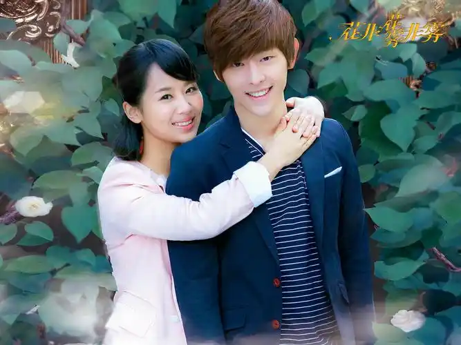 花非花雾非雾壁纸图片