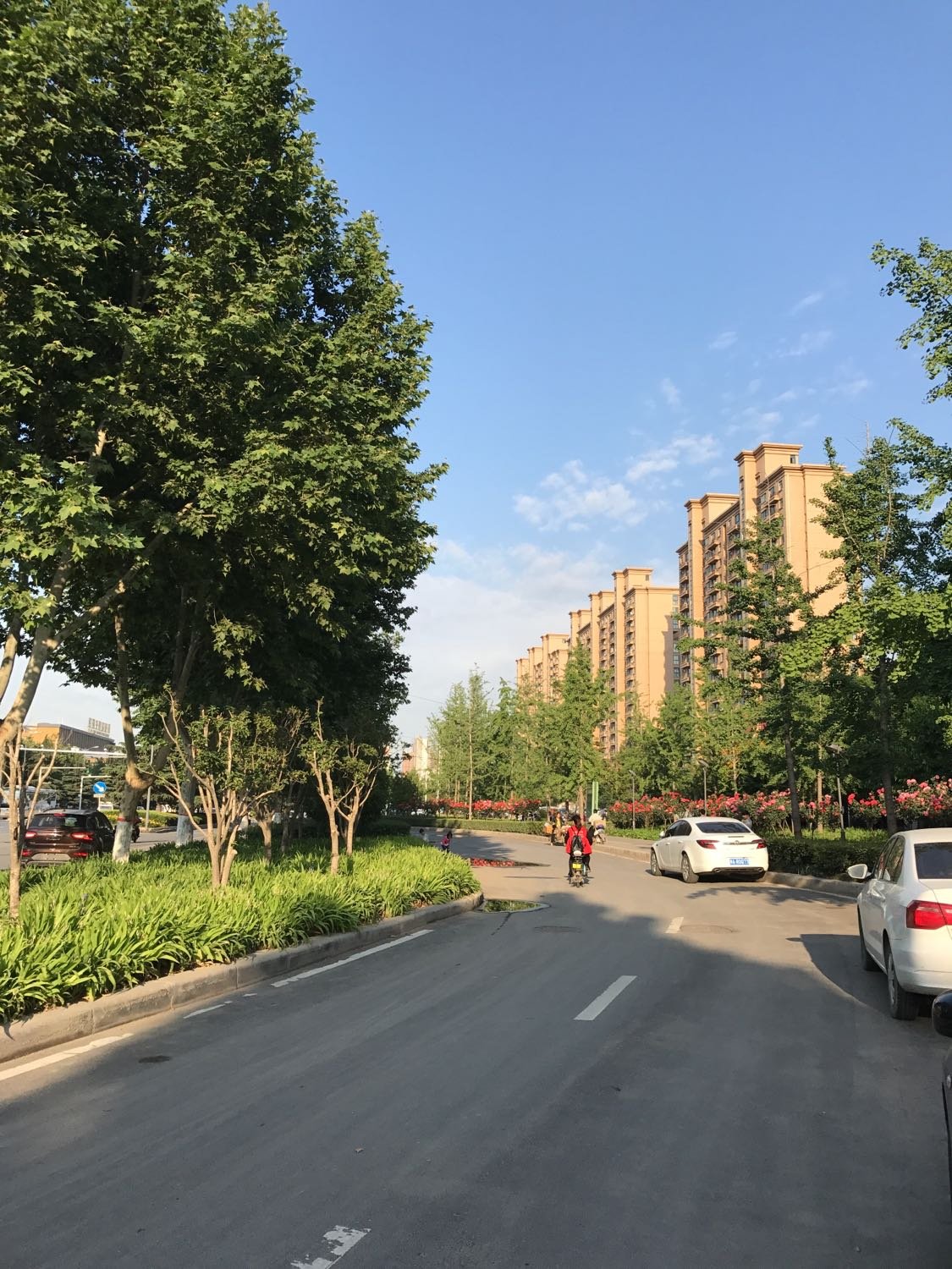 郑州市中原区中原西路天气预报