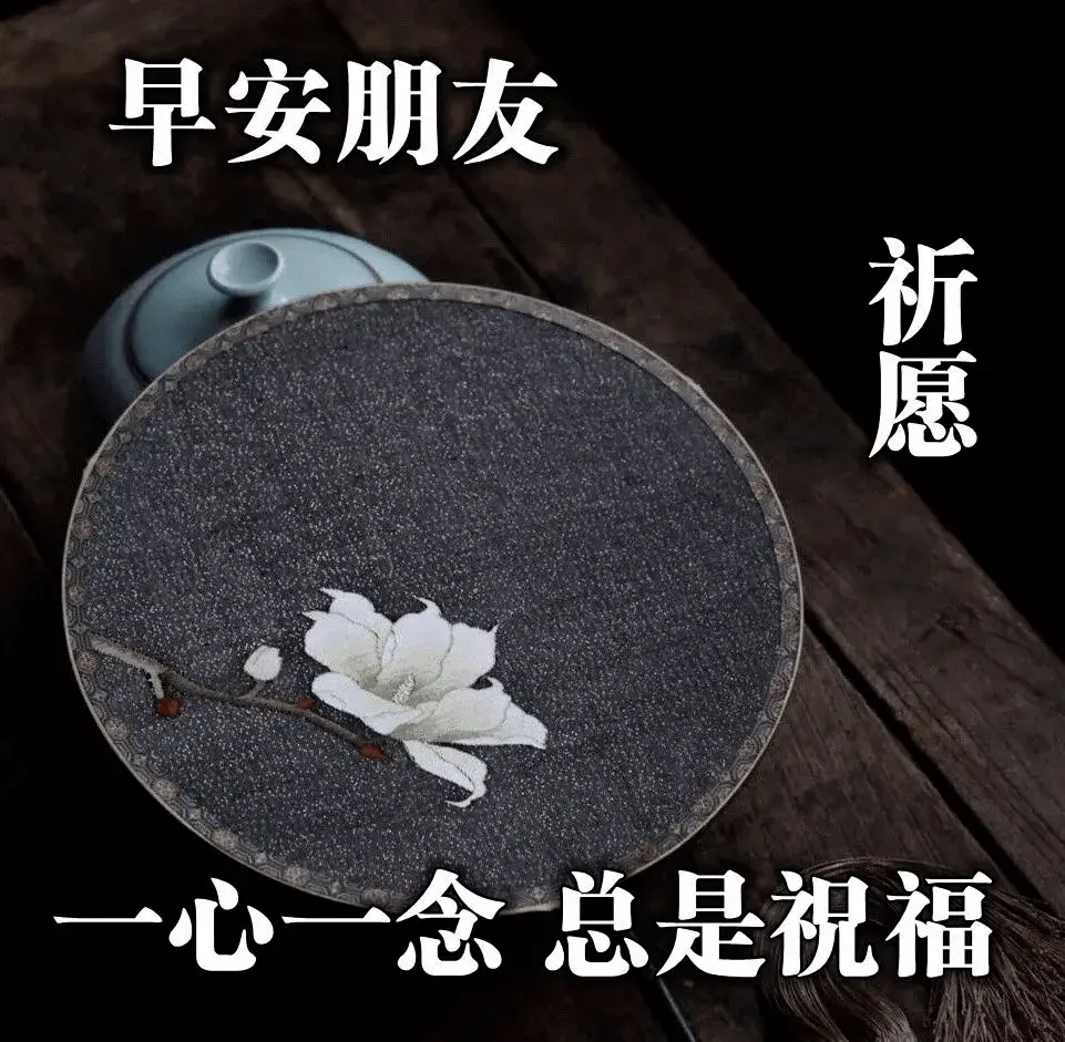 新的六月最美的早上好问候图片大全阳光唯美的早安祝福表情包