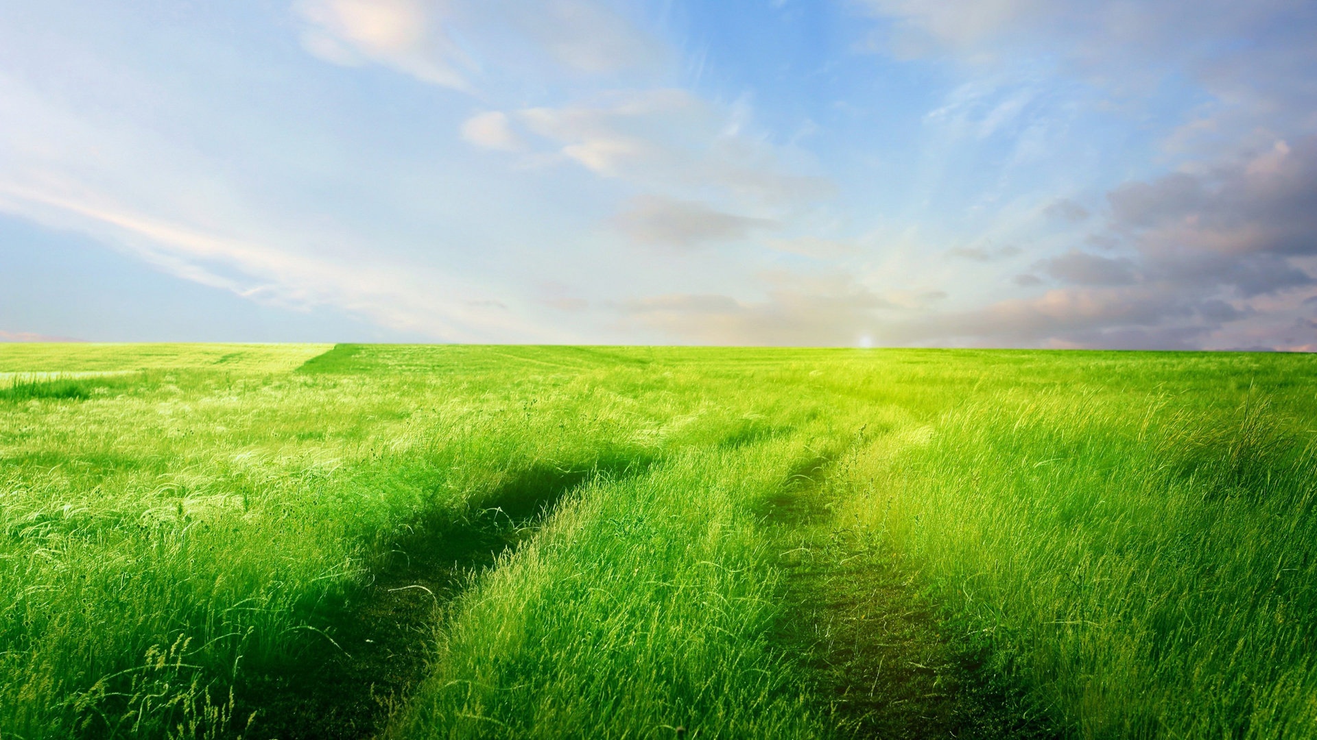 美丽的绿色草原风景