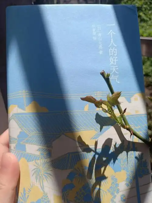 一个人的好天气