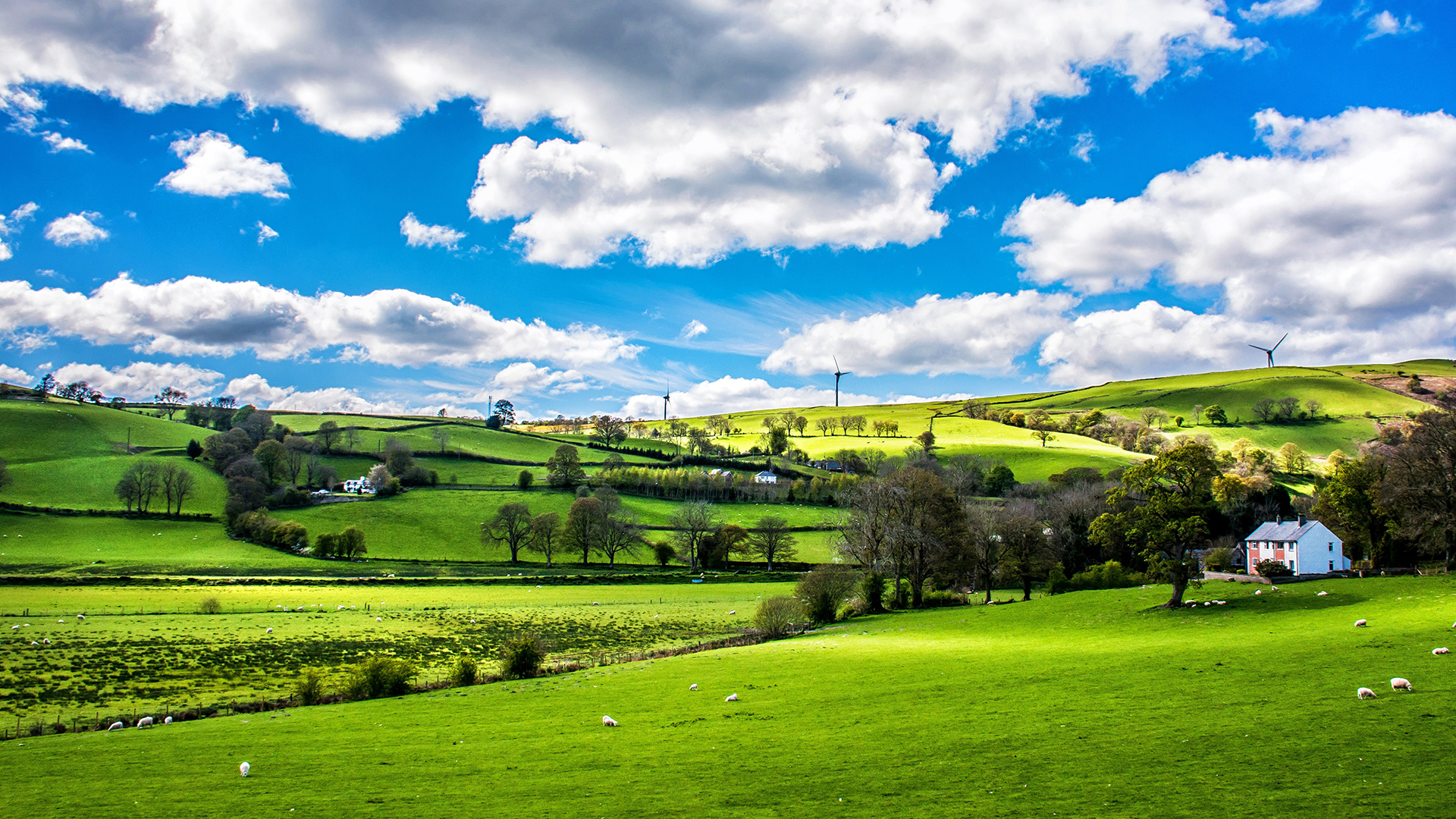 广袤的草原风光美景图片桌面壁纸高清大图预览1920x1080_风景壁纸下载