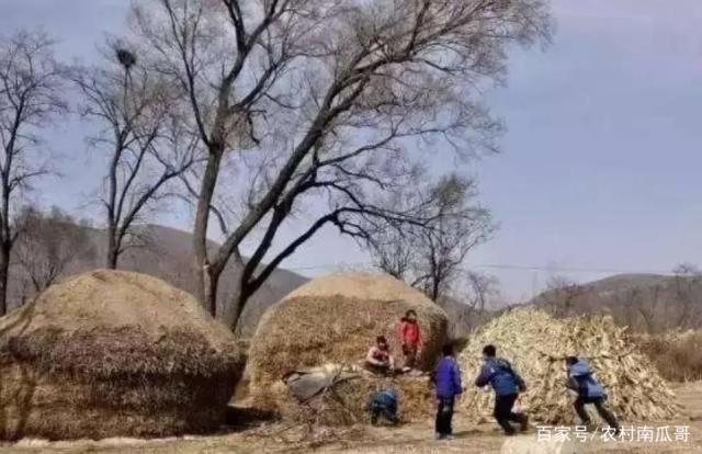 逐渐消失的农村往事,农村出生的您还记得吗?