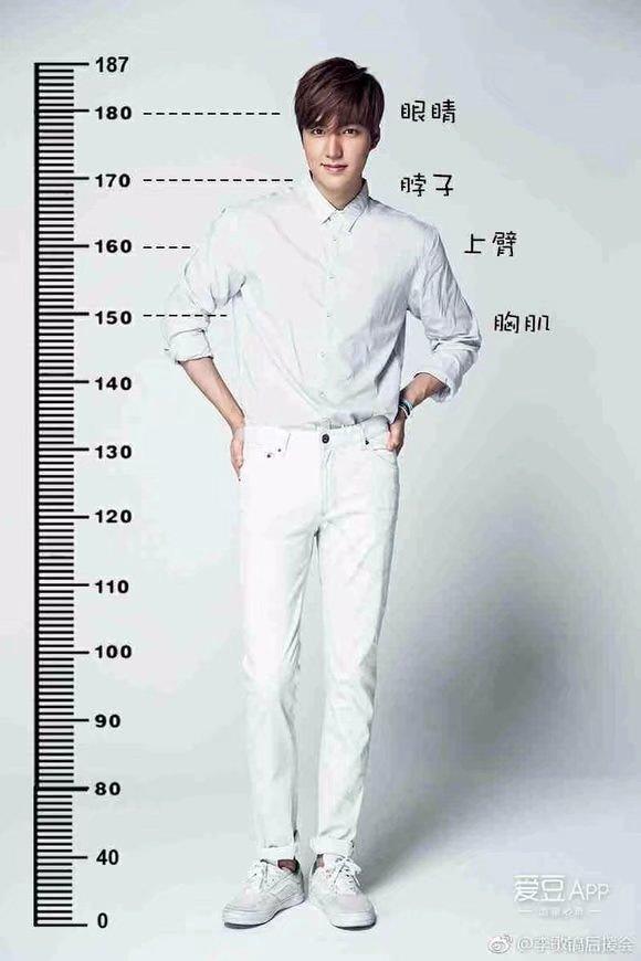 花样男子/流星花园f4的身高