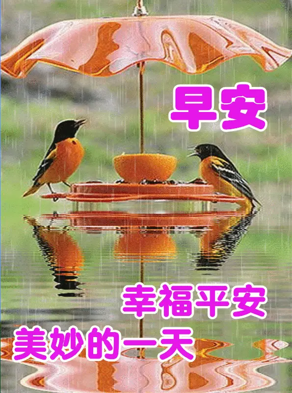 早上好表情包,每天的问候是情谊,是关心和惦记!