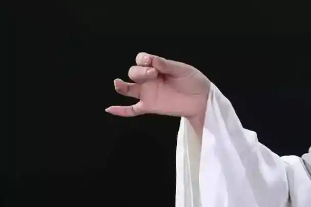 为什么叫兰花指