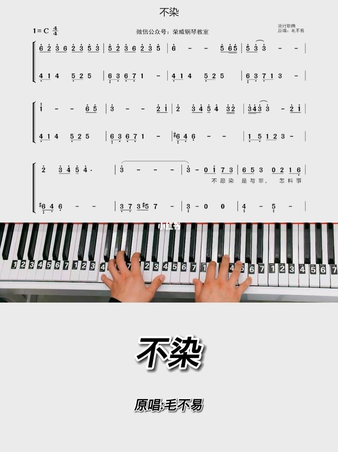 不染钢琴简谱教学