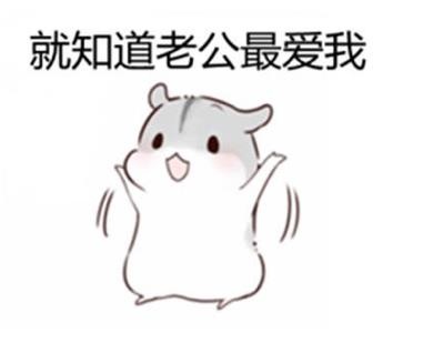 就知道老公最爱我你们要的老婆撩老公表情包老公撩妹撩汉表情