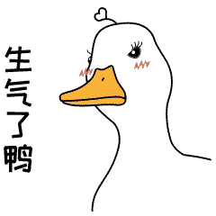 小赵家的老少女