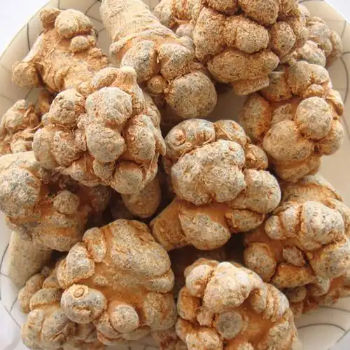 三七养生网站『三七养生网站庄严』