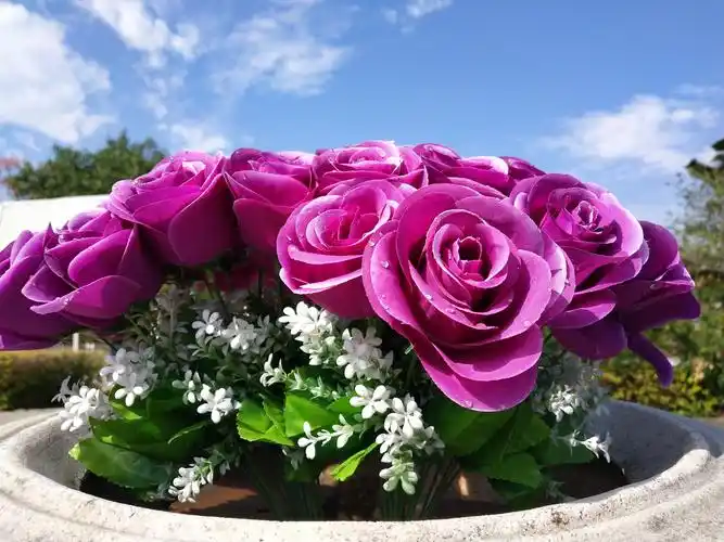 美丽的花都香草世界