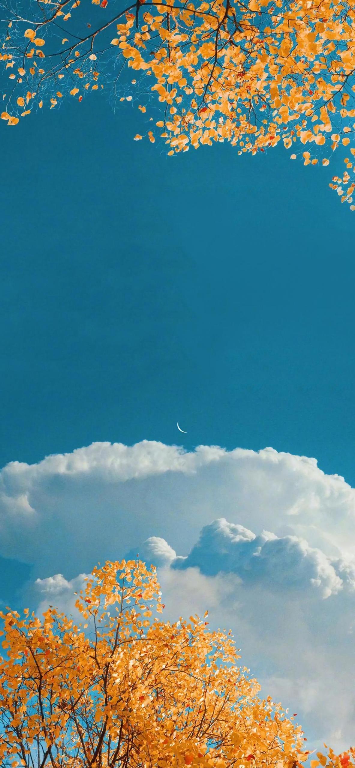 好看的微信状态背景图大全 - 知乎