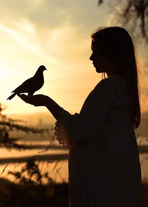 两个人的旅游小清新意境精选美图